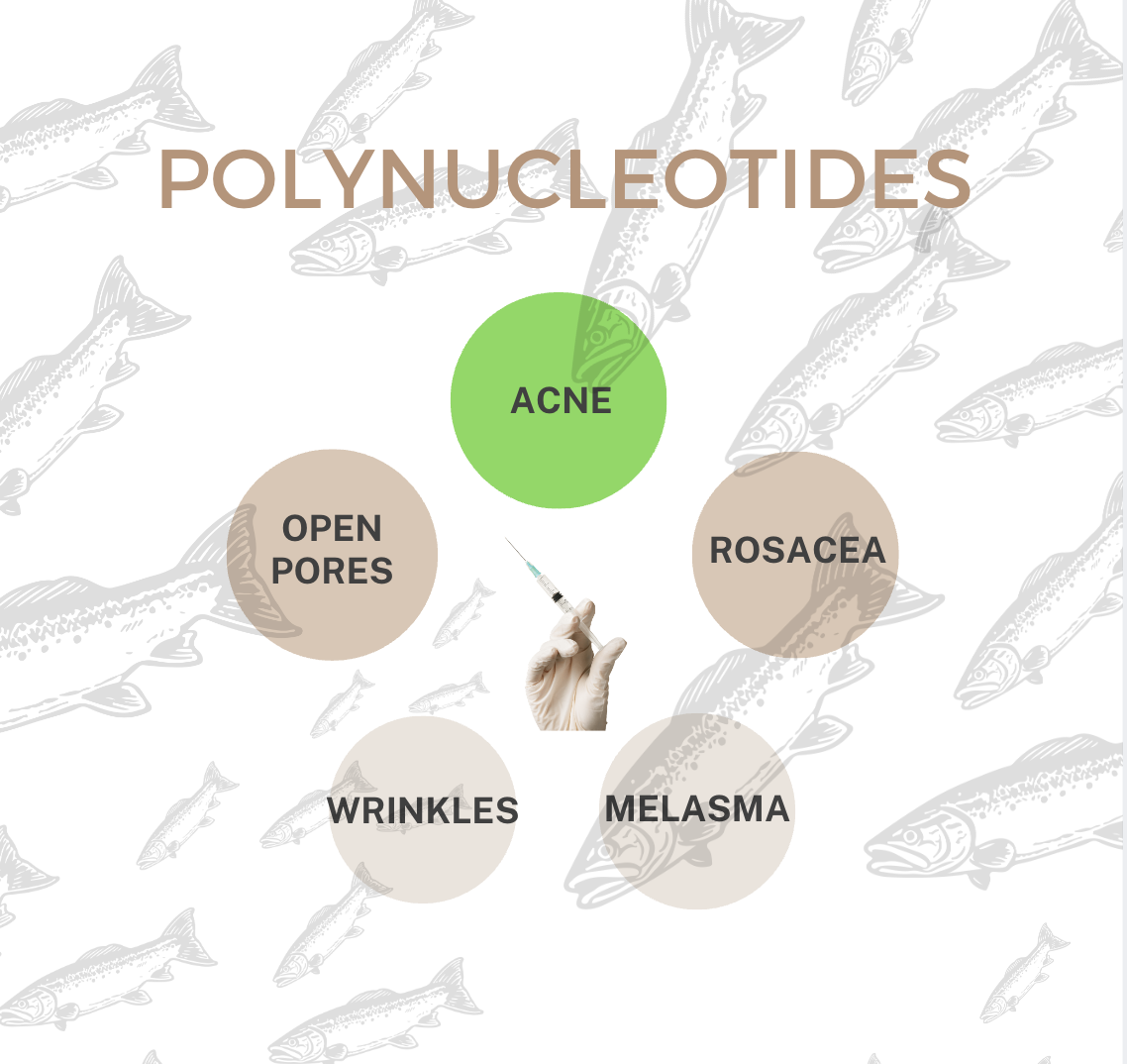 acne treatment with polynucleotides