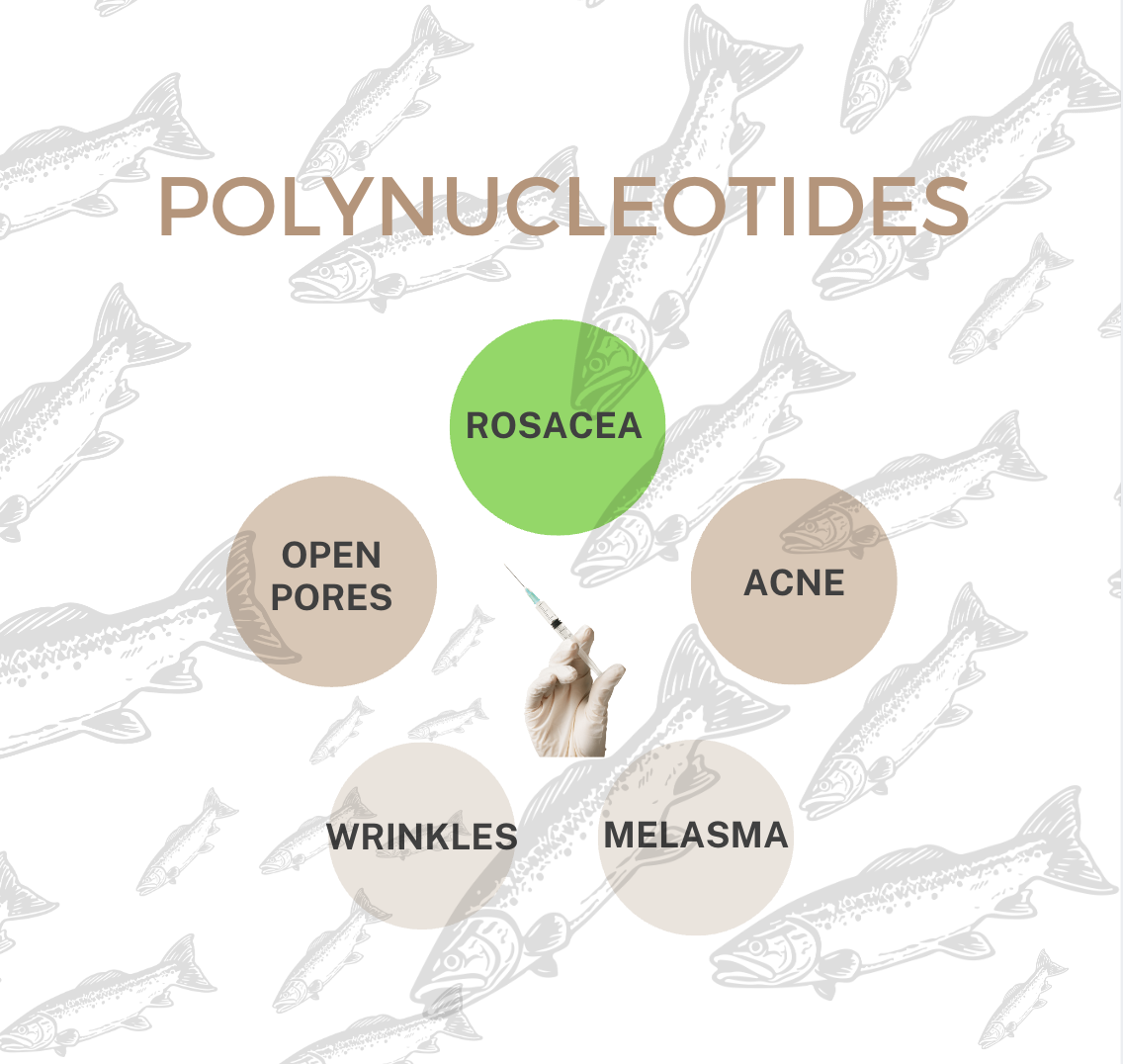 Polynucleotides for Rosacea at 23MD