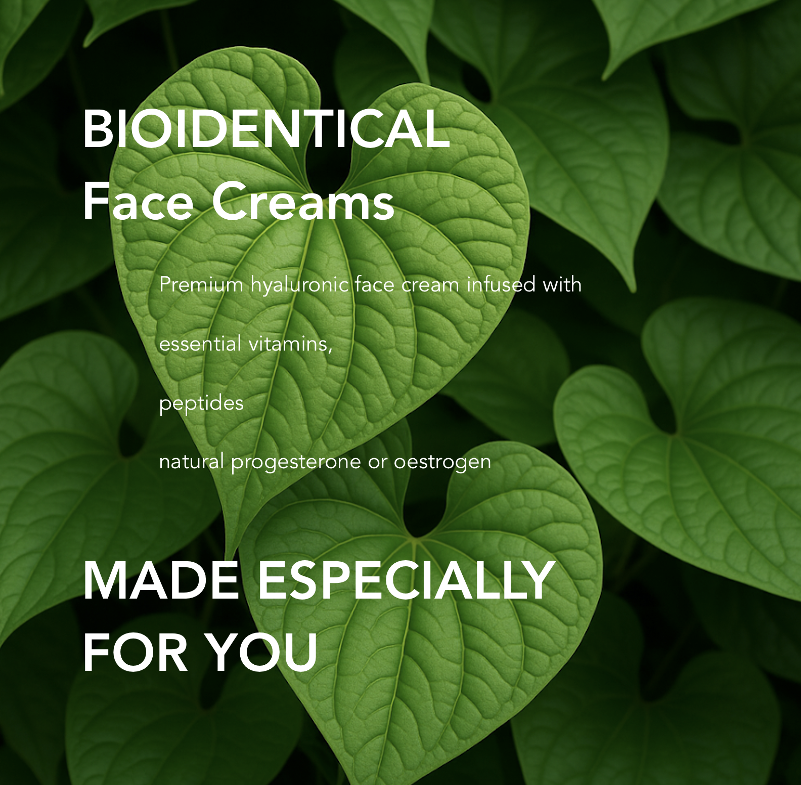 Heart-shaped green leaves of wild Mexican yam (Dioscorea villosa), the plant source used in the synthesis of bioidentical hormones.